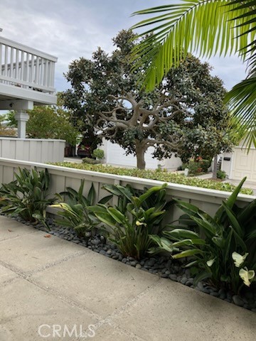 Tropical Patio seen from 2nd Bedroom Shuttered Windows! - 24736 Meridian Drive 28, Dana Point CA 92629 - photo 10