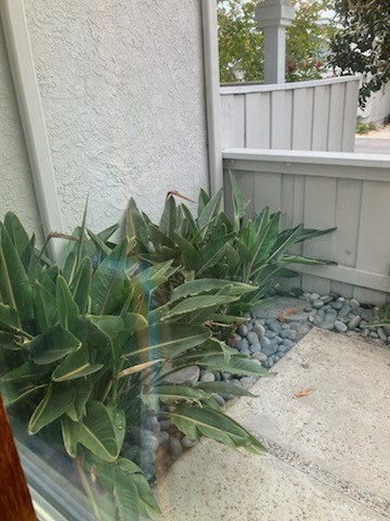 Patio off Master Bedroom Ste. - 24736 Meridian Drive 28, Dana Point CA 92629 - photo 12