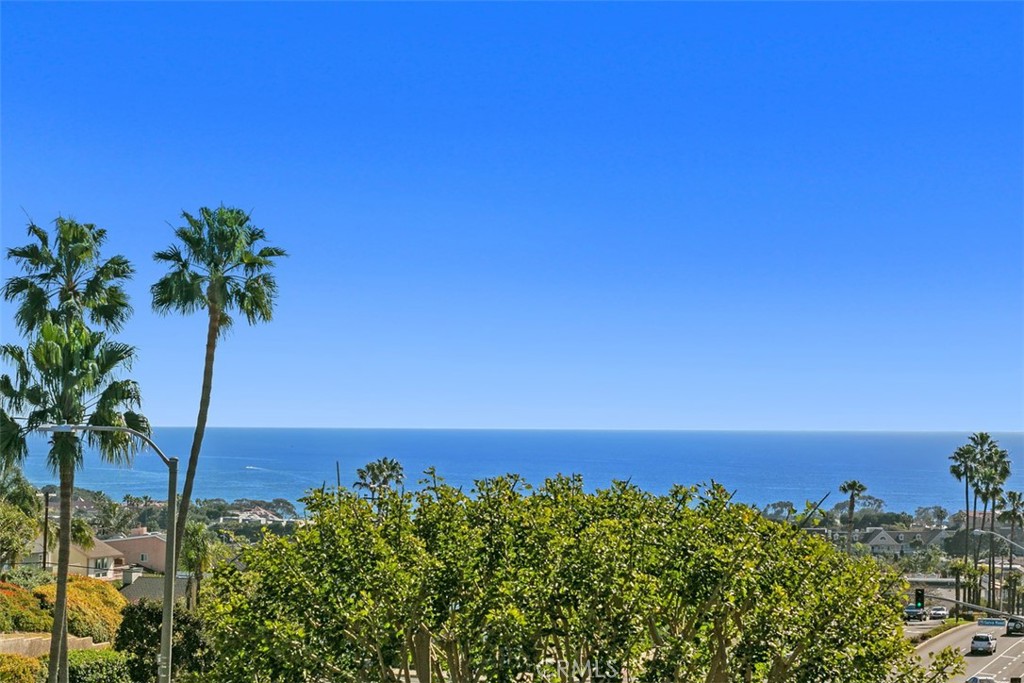 24746 Evening Star Drive 18, Dana Point CA 92629 - photo 1