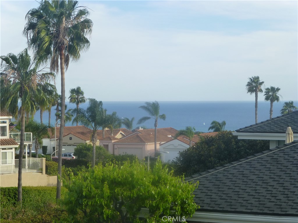 24746 Meridian, Dana Point CA 92629 - photo 1
