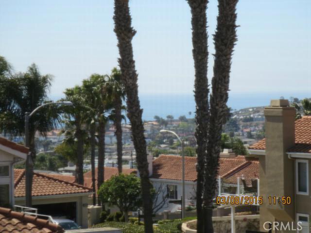 close up view - 24862 Sea Crest Drive, Dana Point CA 92629 - photo 1