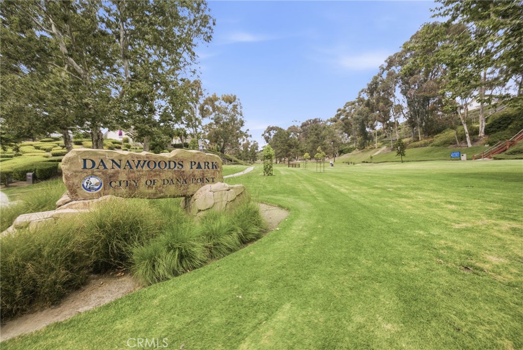 24901 Danafir, Dana Point CA 92629 - photo 42