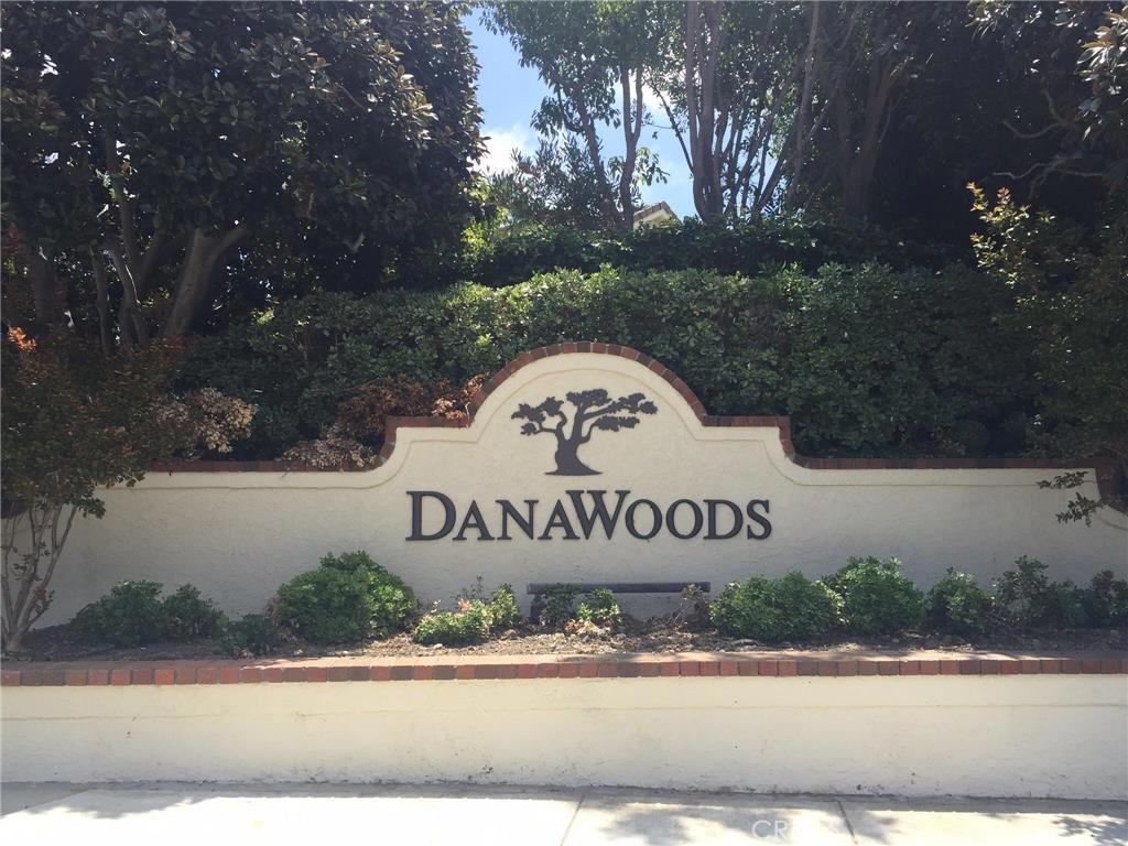 24931 Danamaple, Dana Point CA 92629 - photo 1