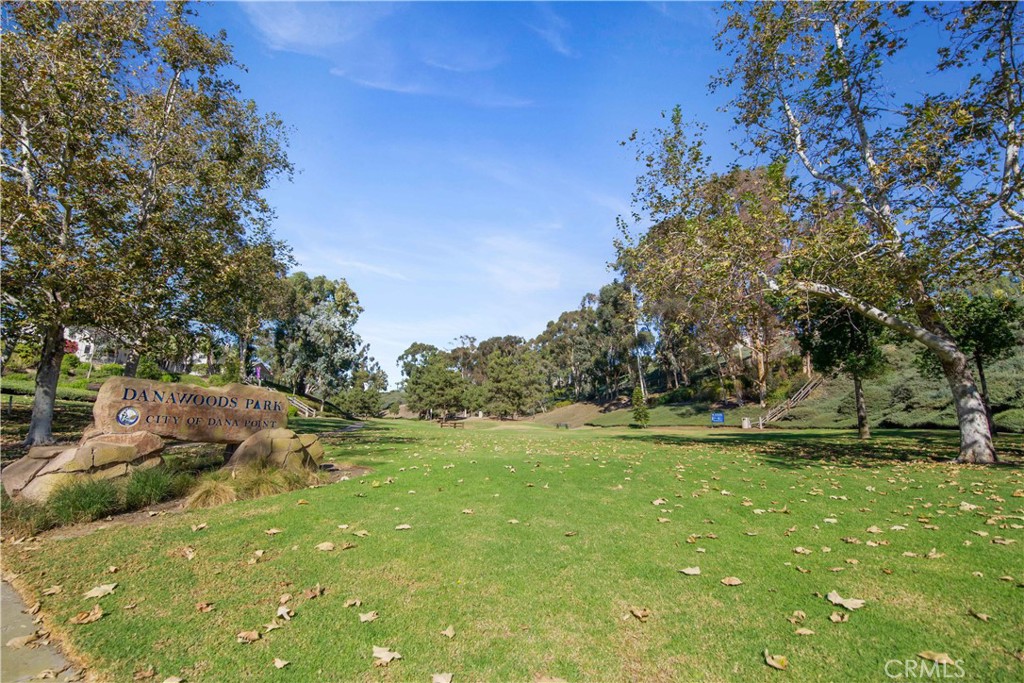24965 Danamaple, Dana Point CA 92629 - photo 50
