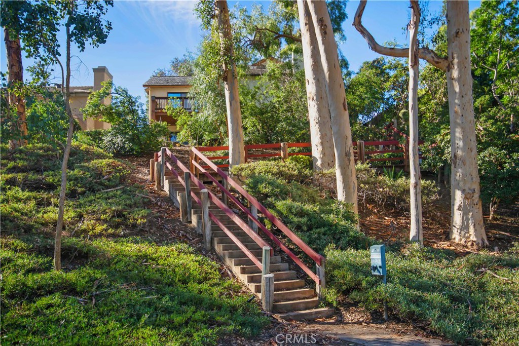 24965 Danamaple, Dana Point CA 92629 - photo 59