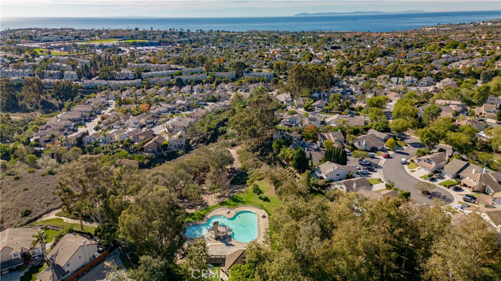 24965 Danamaple, Dana Point CA 92629 - photo 68