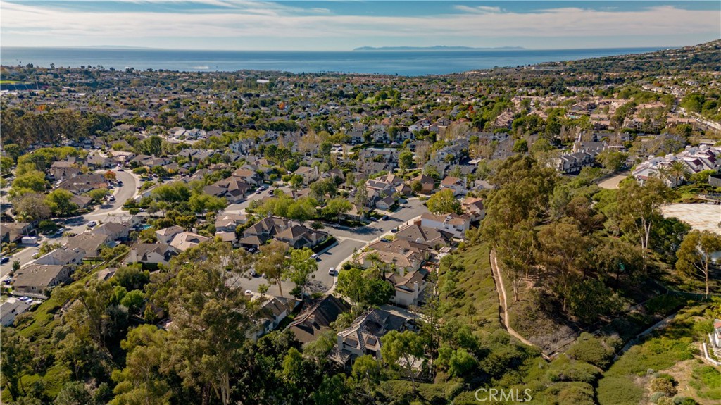 24965 Danamaple, Dana Point CA 92629 - photo 70