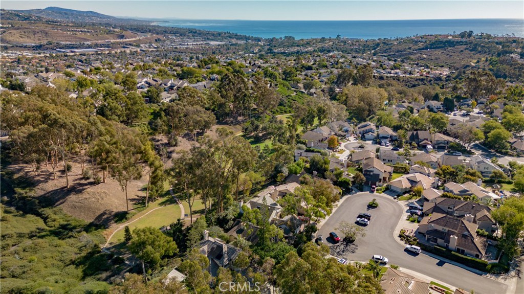 24965 Danamaple, Dana Point CA 92629 - photo 71