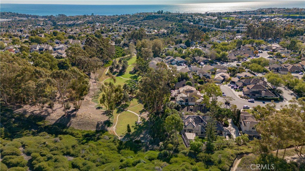 24965 Danamaple, Dana Point CA 92629 - photo 72
