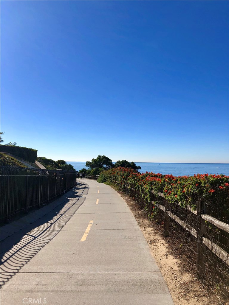 Amazing run, walk or bike to the ocean or just to have a cocktail at the Ritz! - 25 Ville Franche, Dana Point CA 92629 - photo 17