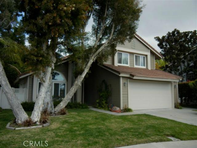 25101 Danabirch, Dana Point CA 92629 - photo 1