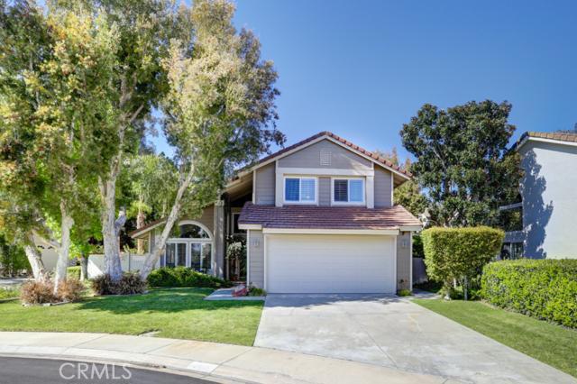 25101 Danabirch, Dana Point CA 92629 - photo 1