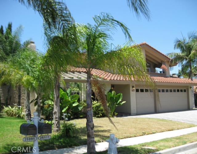25101 Perch Drive, Dana Point CA 92629 - photo 1