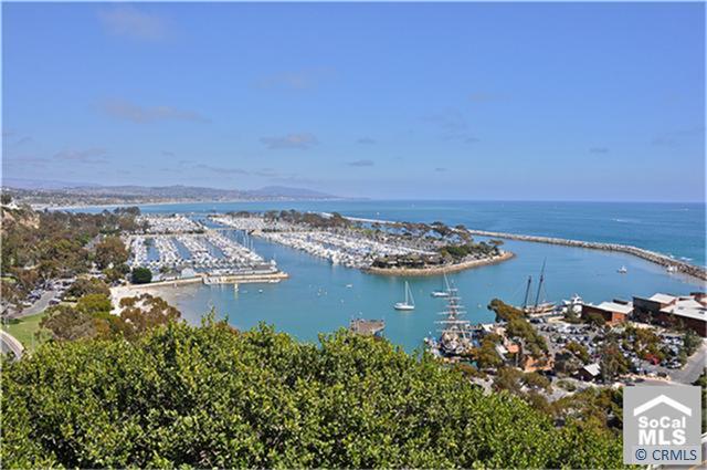 25102 DANABIRCH, Dana Point CA 92629 - photo 1