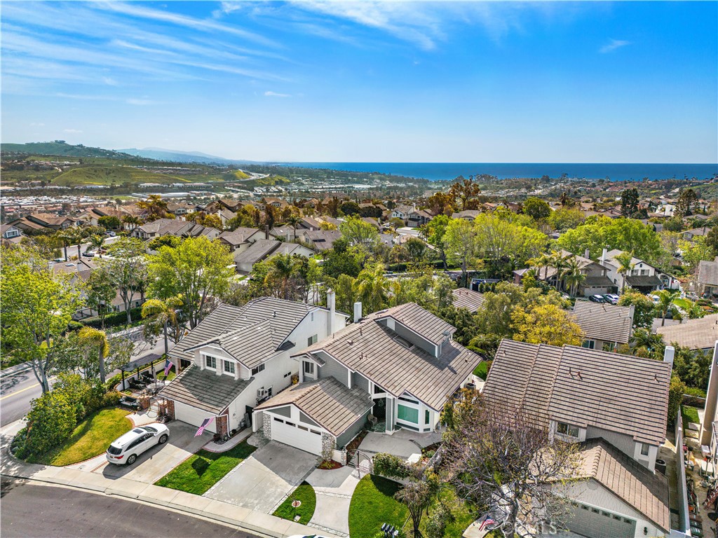 25112 Danabirch, Dana Point CA 92629 - photo 1