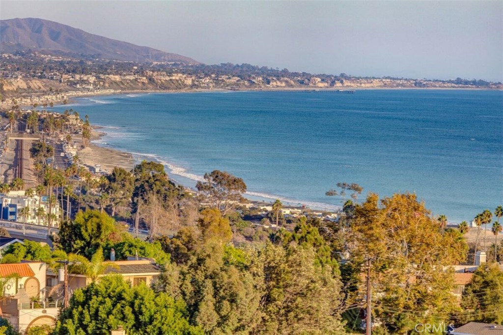 As far as the eye can see. Check out the surf at Doheny Beach in the forefront & Dana Point Harbor with the San Clemente - 25132 Alicia Drive, Dana Point CA 92629 - photo 1