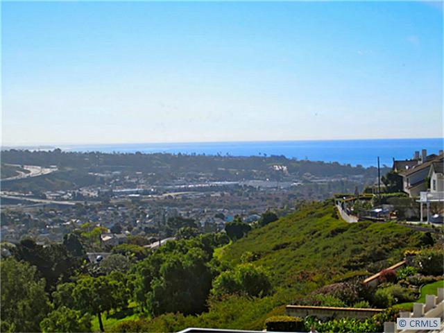 25162 DANAPEPPER, Dana Point CA 92629 - photo 1