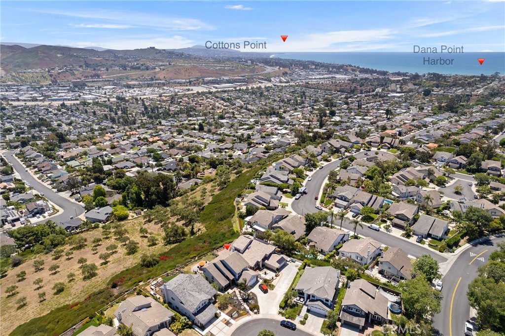 THE VIEWS! - 25172 Danabirch, Dana Point CA 92629 - photo 1