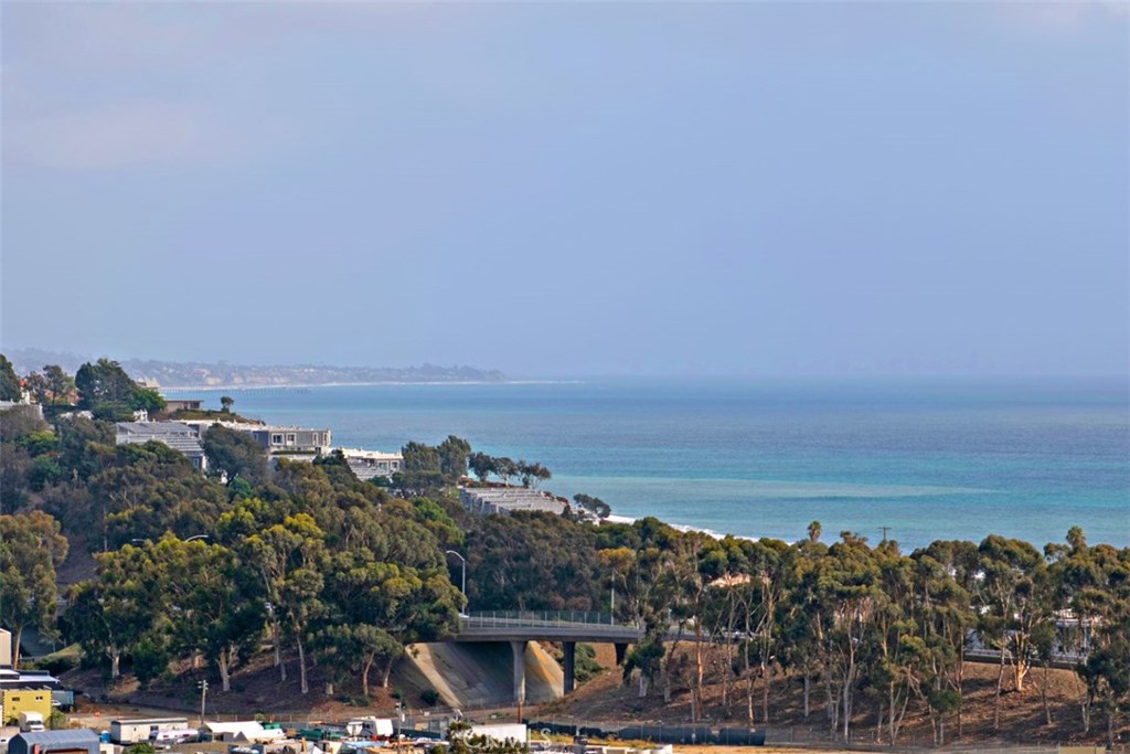 Breathtaking ocean views - 25382 Sea Bluffs Drive 8205, Dana Point CA 92629 - photo 1