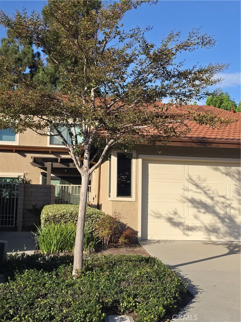 25585 Breezewood, Dana Point CA 92629 - photo 3