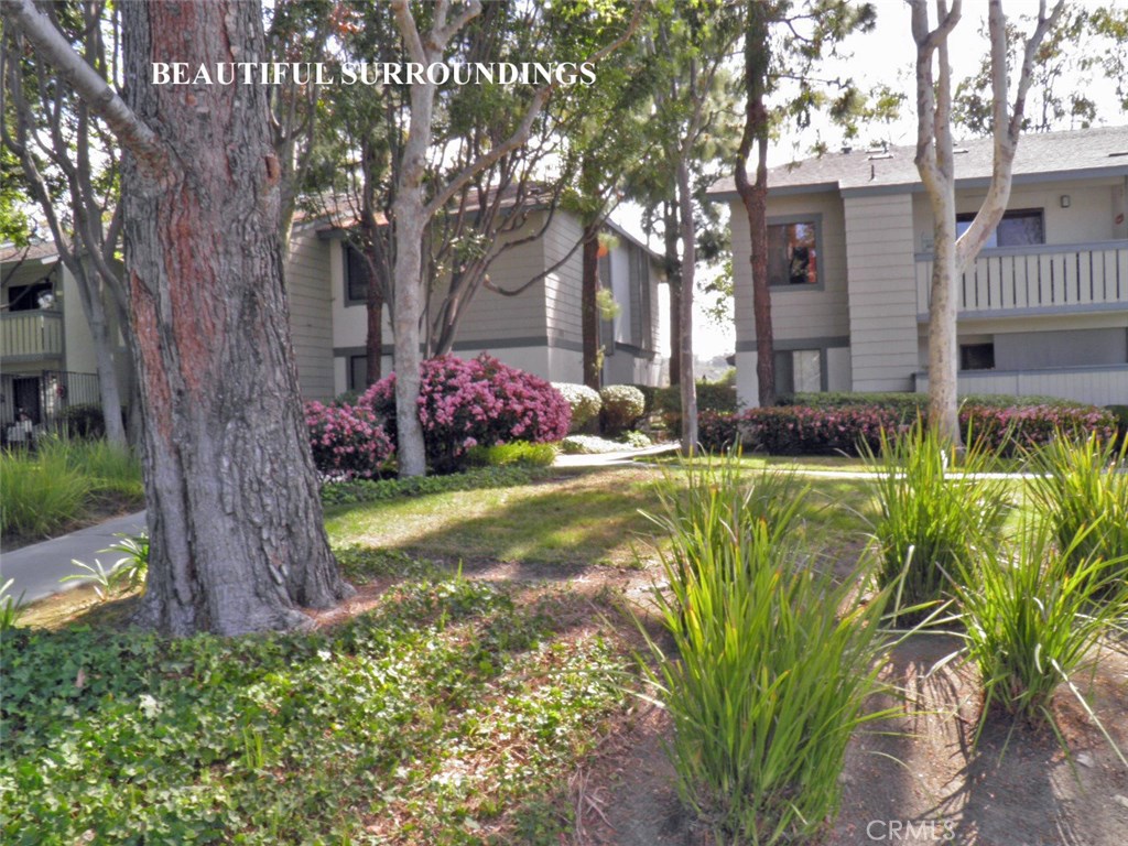 25611 Quail RN 62, Dana Point CA 92629 - photo 1