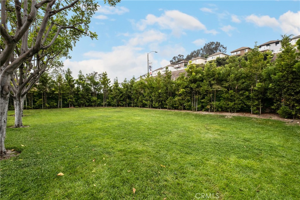 Community greenbelt - 25742 Shell Drive 189, Dana Point CA 92629 - photo 42