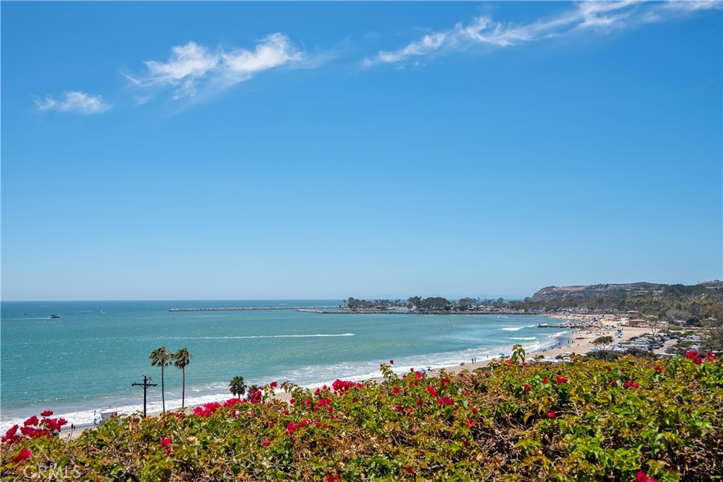 25872 Vista Drive W, Dana Point CA 92624 - photo 71