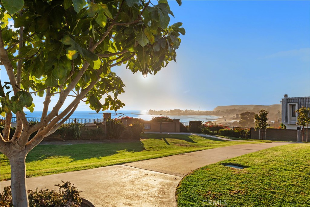 26026 Dana Bluff E W #60, Dana Point CA 92624 - photo 33