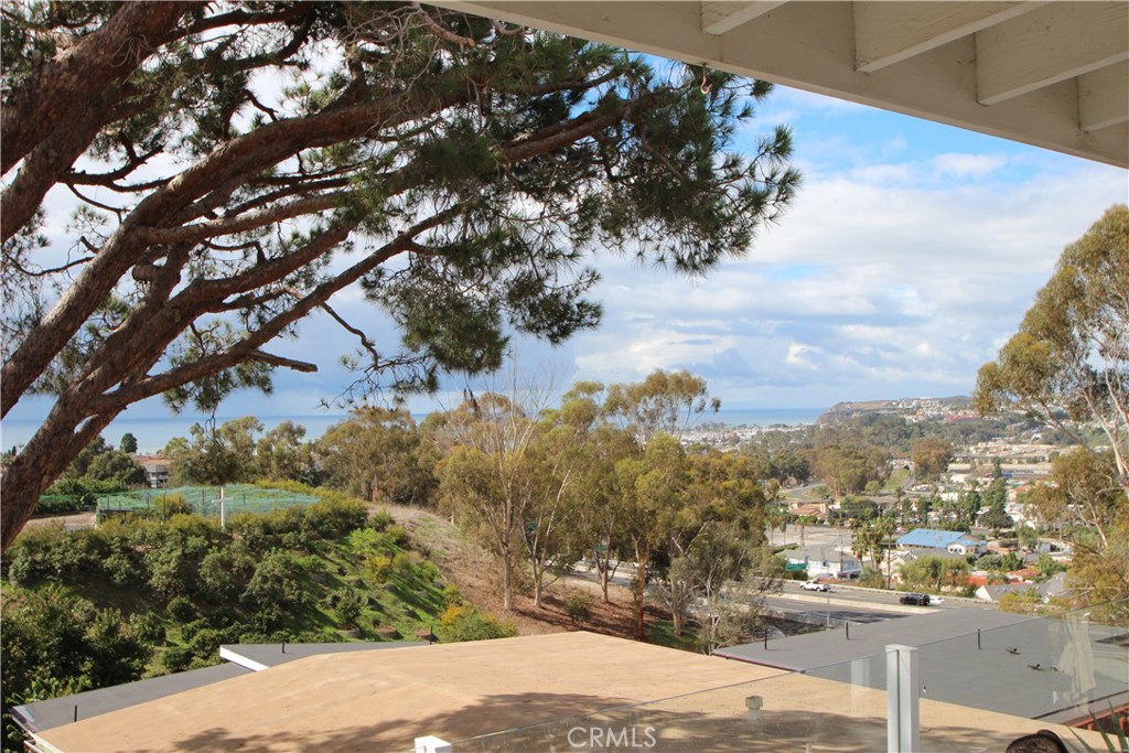26381 Via Canon B, Dana Point CA 92624 - photo 14