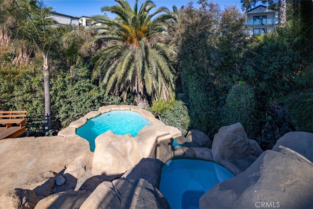 26411 Palisades Drive, Dana Point CA 92624 - photo 41