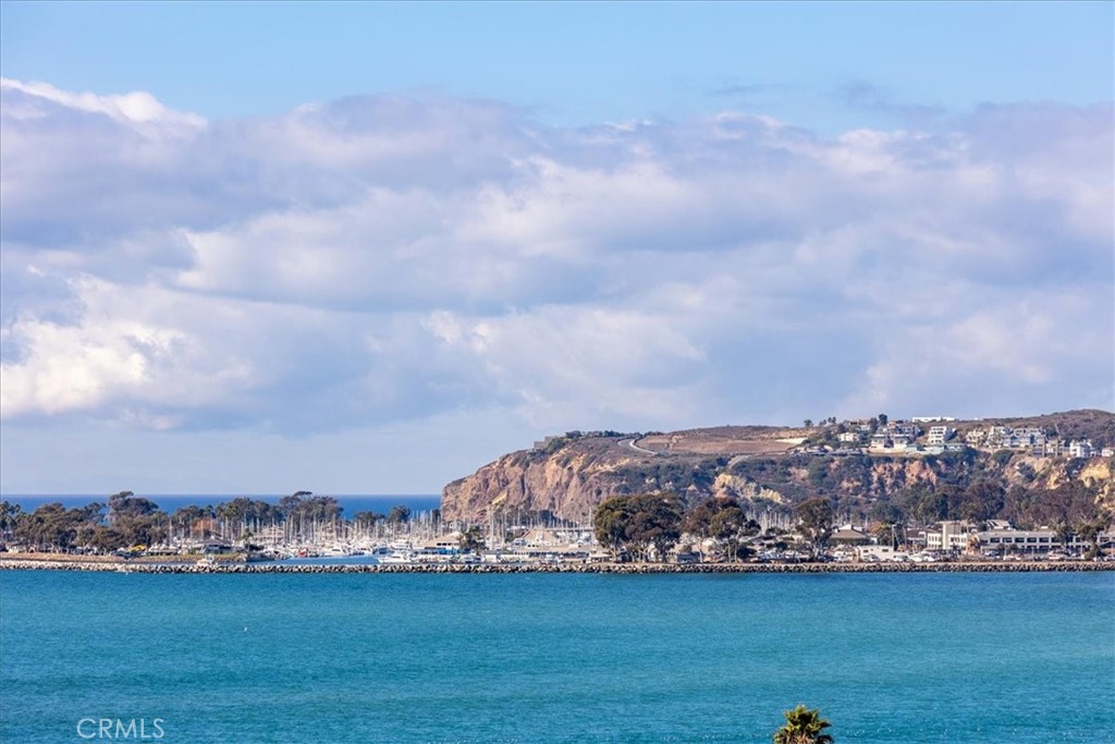 26411 Palisades Drive, Dana Point CA 92624 - photo 44