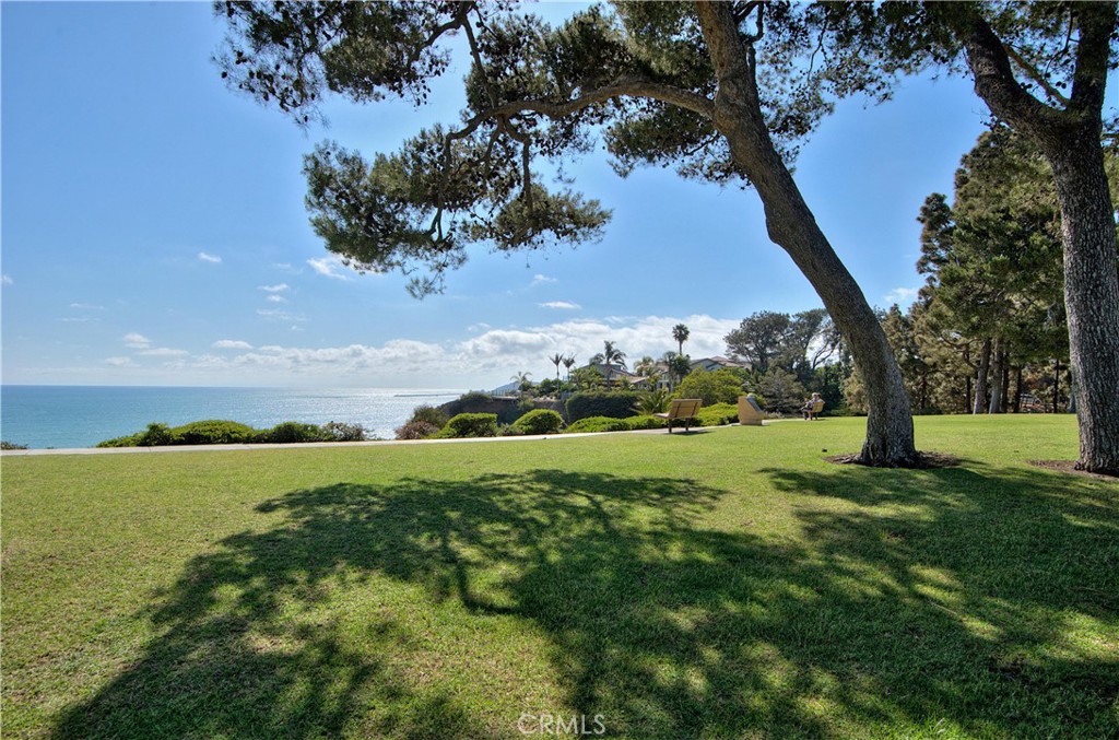 Famous Pines Park, a Local Favorite within Walking Distance - 26716 Calle Juanita, Dana Point CA 92624 - photo 31