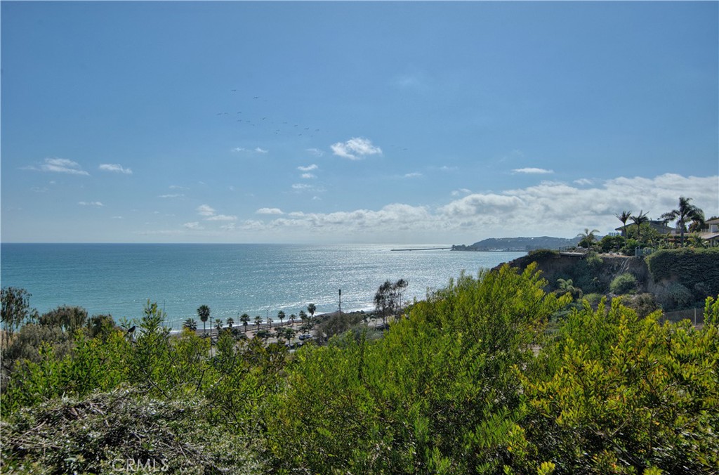 26716 Calle Juanita, Dana Point CA 92624 - photo 35