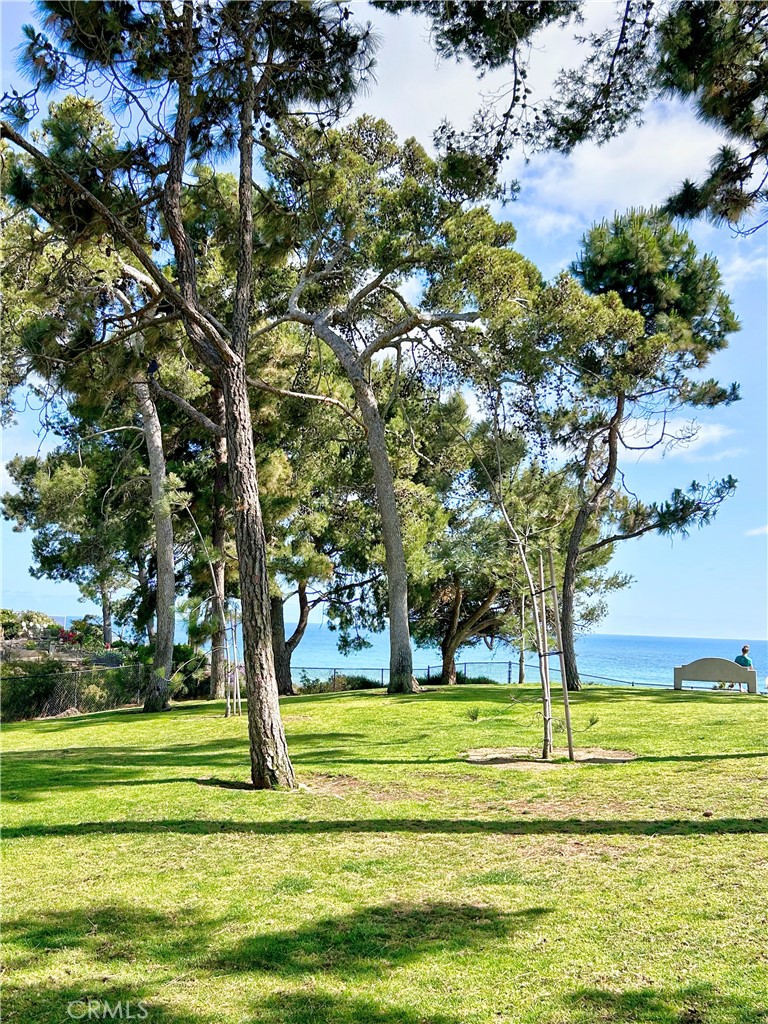 26765 Calle Maria B, Dana Point CA 92624 - photo 18