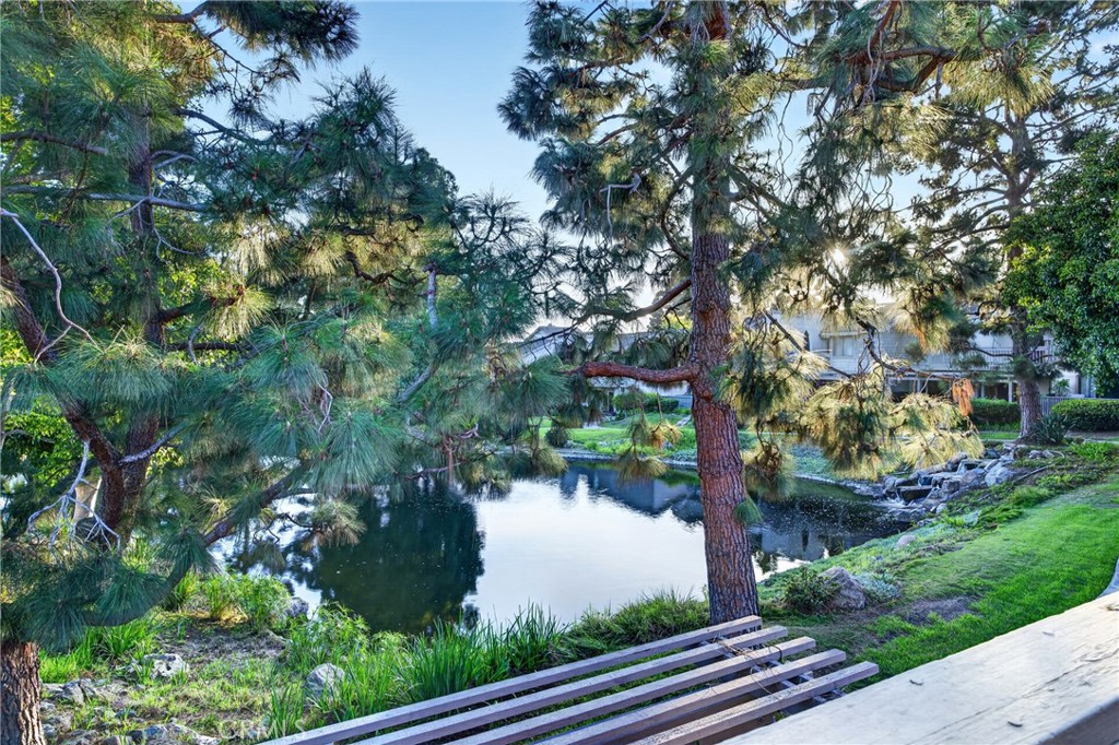 26972 Mill Pond Road, Dana Point CA 92624 - photo 43