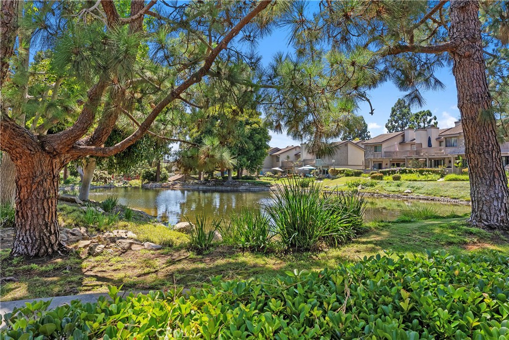 26972 Mill Pond Road, Dana Point CA 92624 - photo 31