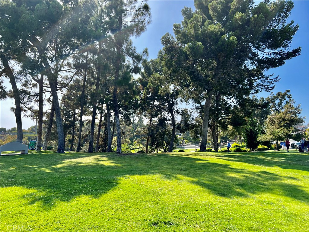 26972 Mill Pond Road, Dana Point CA 92624 - photo 54