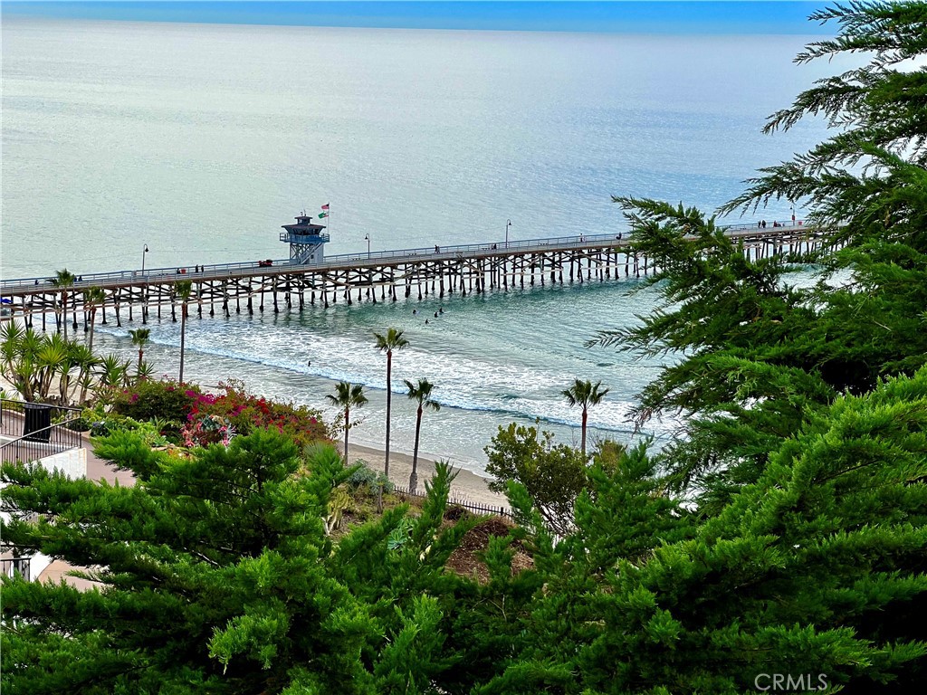 26972 Mill Pond Road, Dana Point CA 92624 - photo 57
