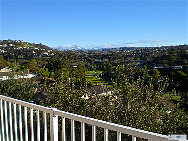 Snow covered mountains - 26982 DEL GADO Road, Dana Point CA 92624 - photo 1