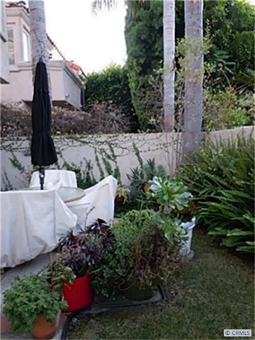 Verdant back yard suitable for entertaining family and guests. - 27 ANTIGUA, Dana Point CA 92629 - photo 1