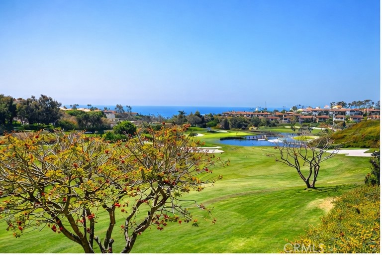 27 Via Monarca Street, Dana Point CA 92629 - photo 54