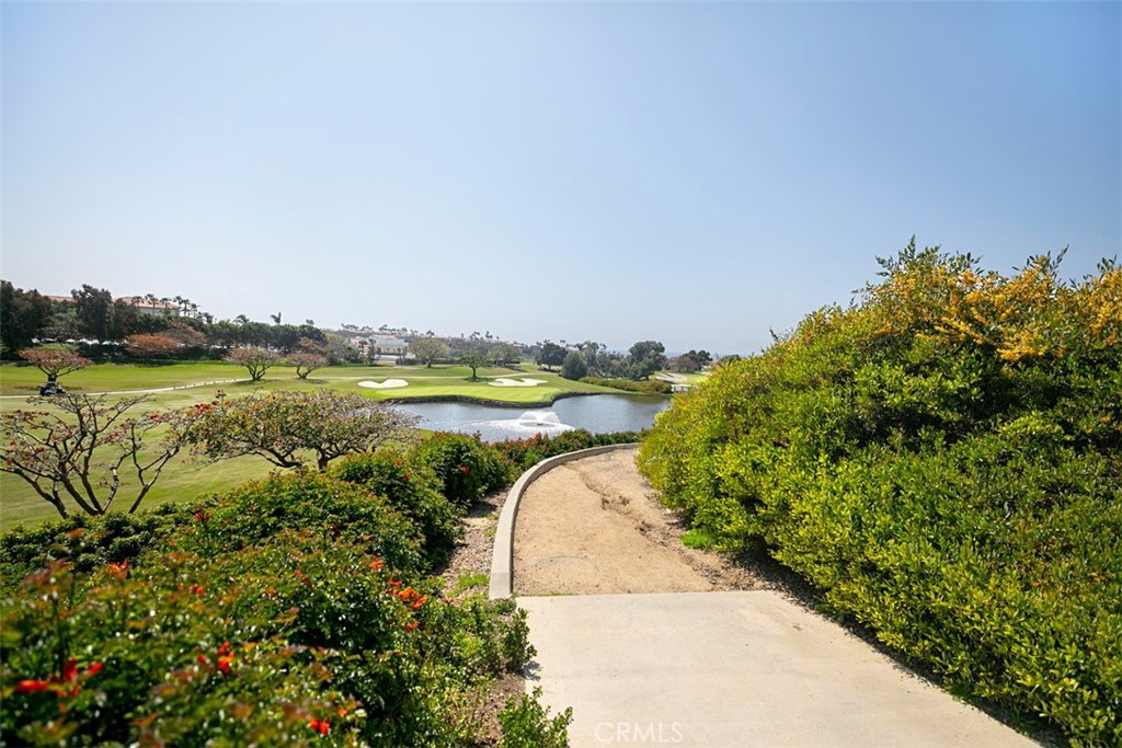 27 Via Monarca Street, Dana Point CA 92629 - photo 57