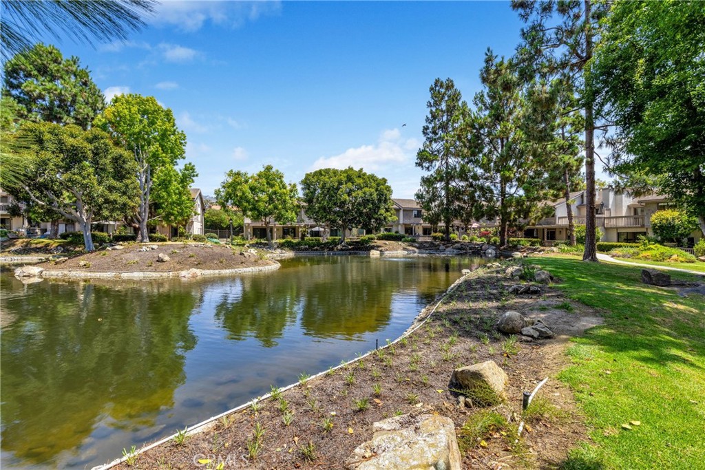 27061 Mill Pond Road 40, Dana Point CA 92624 - photo 38