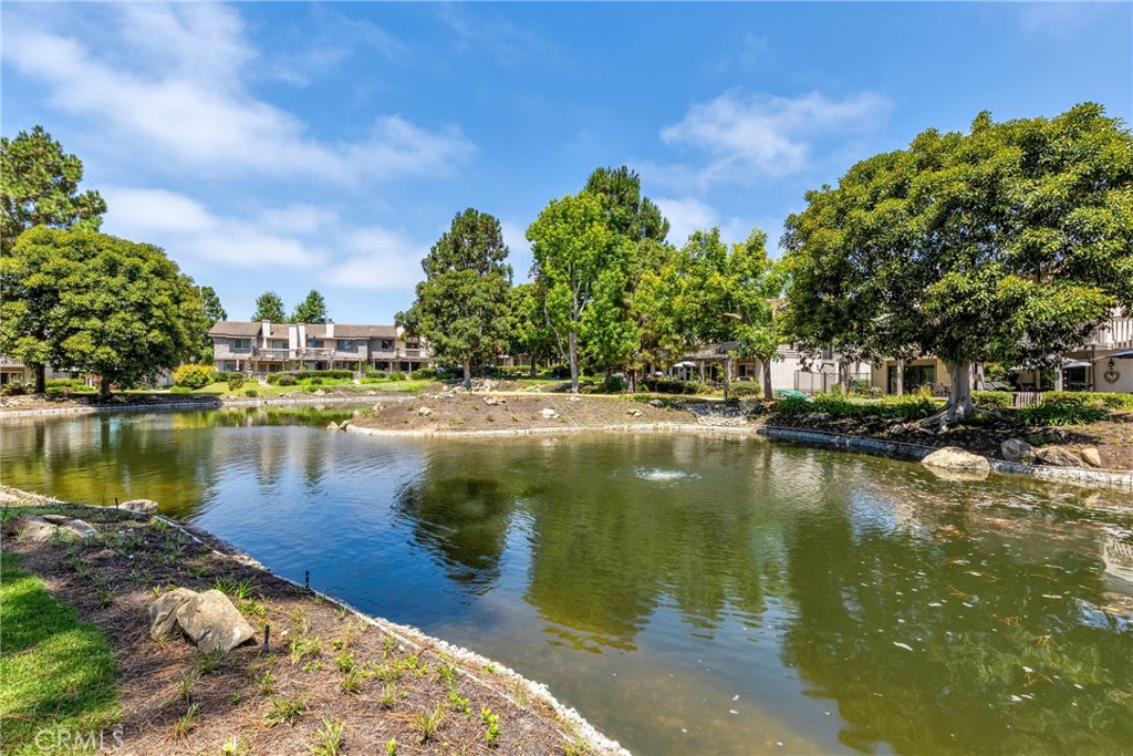 27061 Mill Pond Road 40, Dana Point CA 92624 - photo 43