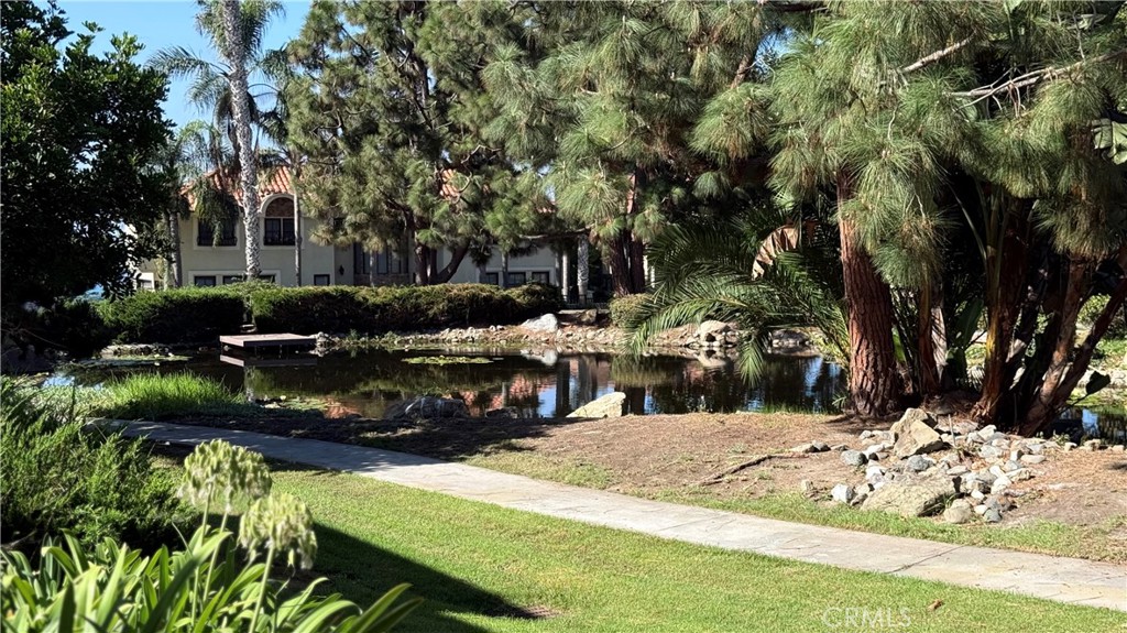 27125 Mill Pond, Dana Point CA 92624 - photo 22