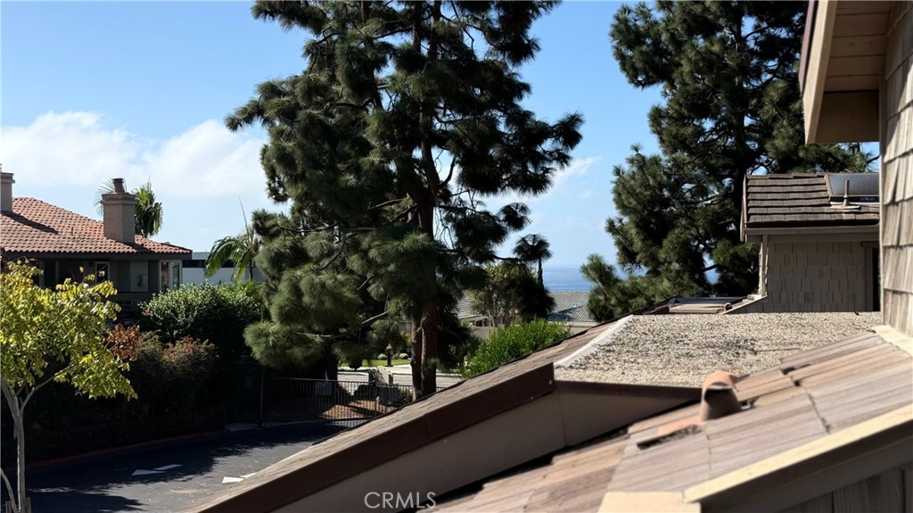 27125 Mill Pond, Dana Point CA 92624 - photo 41