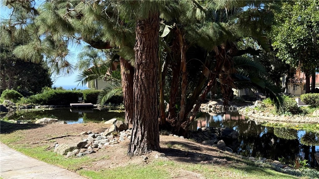 27125 Mill Pond, Dana Point CA 92624 - photo 47