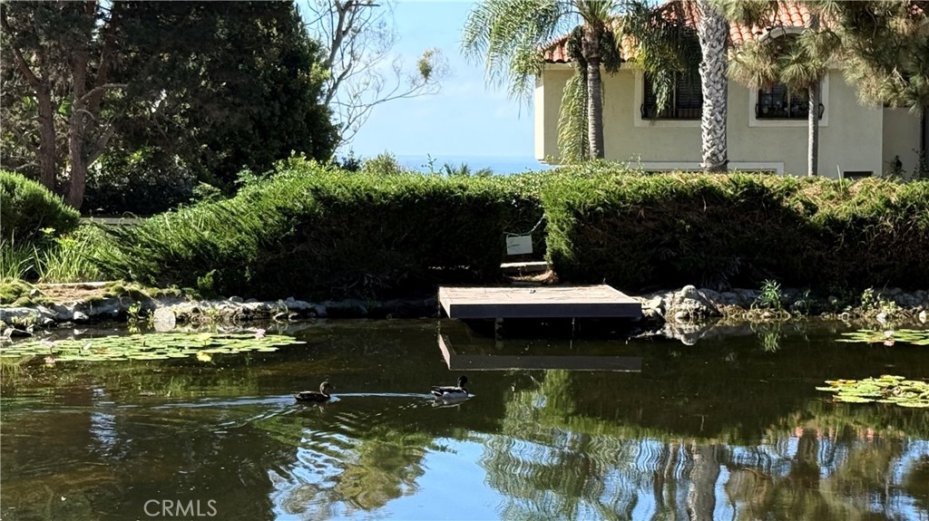 27125 Mill Pond, Dana Point CA 92624 - photo 48