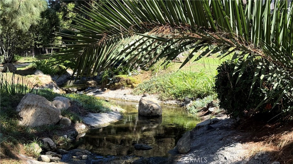 27125 Mill Pond, Dana Point CA 92624 - photo 49