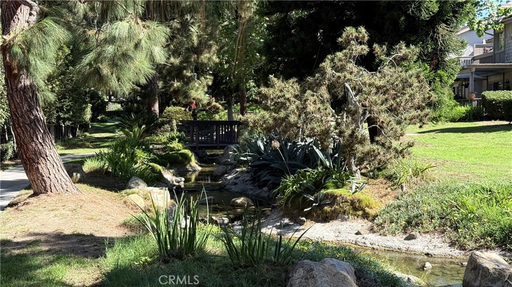 27125 Mill Pond, Dana Point CA 92624 - photo 50
